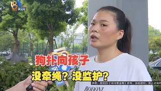 【1818黄金眼】母子俩“分头行动”遇到“老狗”，没牵绳和没监护谁的责任更大？