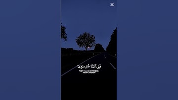 القرآن الكريم 🤍  #القارىء_اسلام_صبحي #elmulquranعلم #القارىء #الرحمن #لايك #المصحف