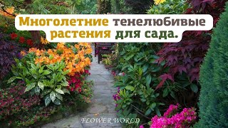 Многолетние тенелюбивые растения для сада.💐