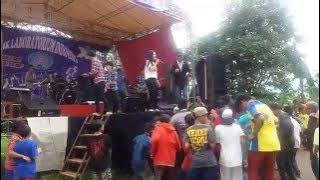 STARINSKY - Aku Mah Apa Atuh (Versi Reggae Cover Cita-Citata)