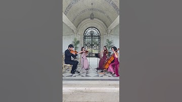 Bridgerton Theme String Quartet