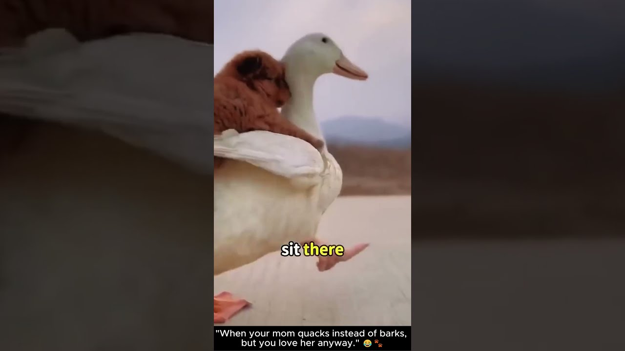 I Discovered the Most Unlikely Love Story and I'm OBSESSED