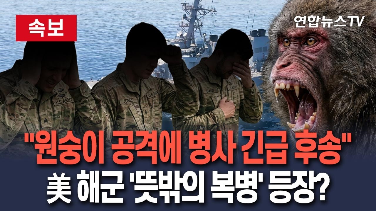 [ 속보] 이란 향하던 美 해군병사, '원숭이 공격'에 긴급 후송…태국서 잠시 내렸다가 '봉변'│호르무즈 기뢰제거 작전에 USS치프호 이동배치 / 연합뉴스TV