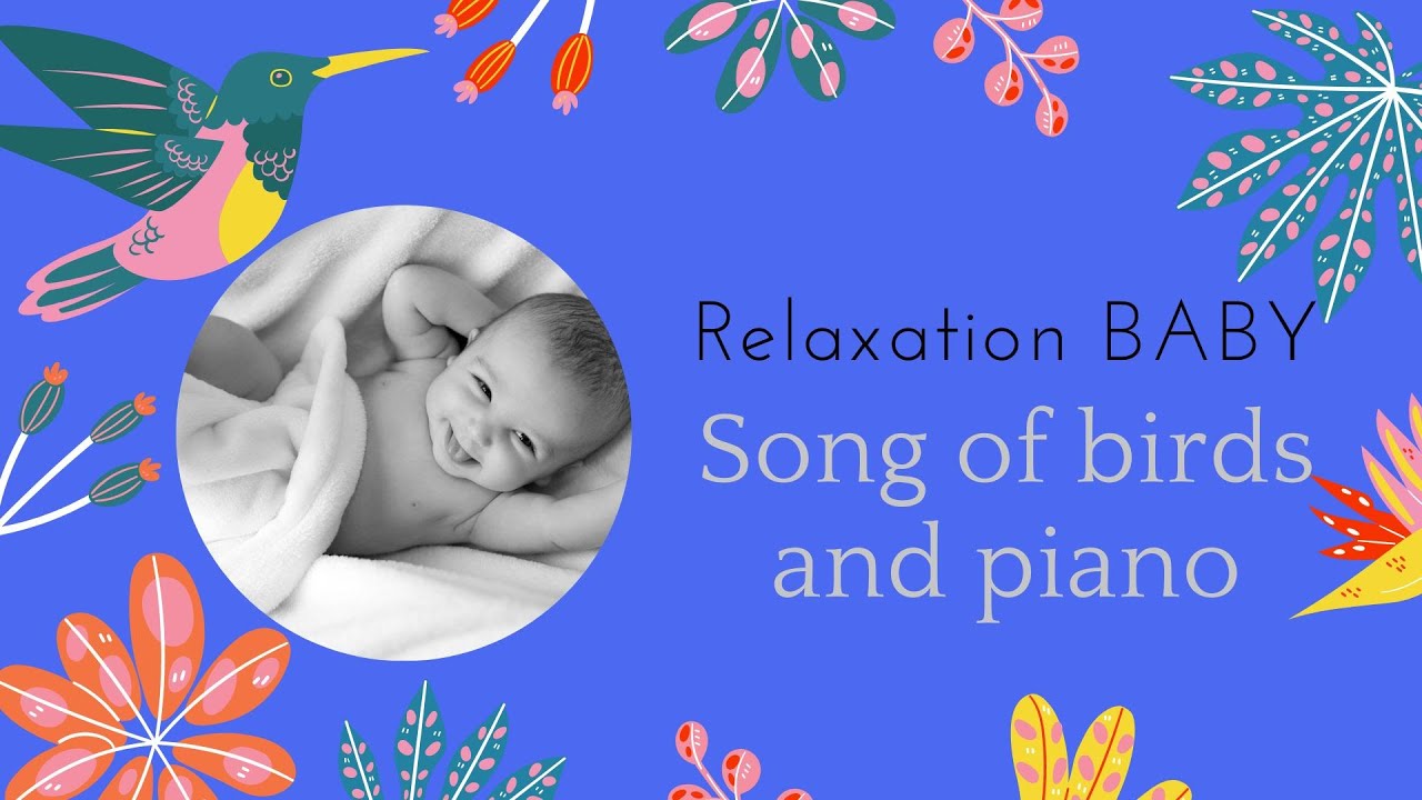 QUIET BABY - BIRD SONGS & PIANO - 4 Hours