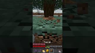 ip:craftexa.aternos.me #keşfetbeniöneçıkar #minecraftshorts #capcut #minecraft #turkey #turkiye