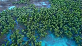 Isabella#Diane Karran#Mutiara Music Of All Time