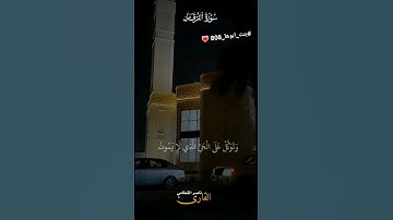 #ارح_قلبك وتوكل على الحي الذي لا يموت #راحة_نفسية #تلاوة_خاشعه #حالات_واتس #تيك_توك #ترند