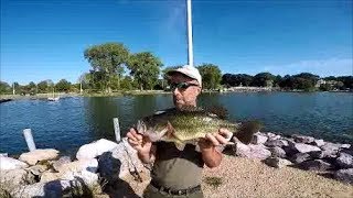 Respectable Fish From An Algae Bloom
