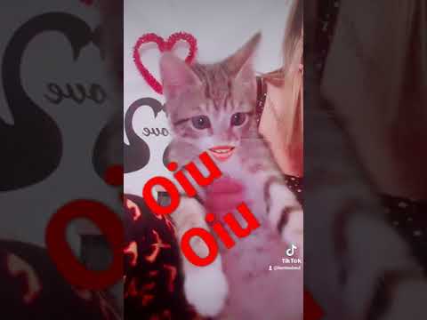 كلام واضح و صريح