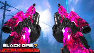 What Happens When You PACK-A-PUNCH the AKIMBO LMGs?