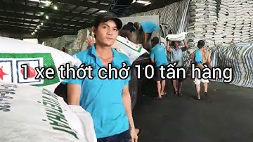 Bốc xếp hàng hóa trong TP Biên Hòa KCN chuyên nghiệp giá rẻ