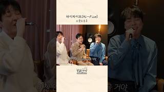하이파이브 제주 영상
