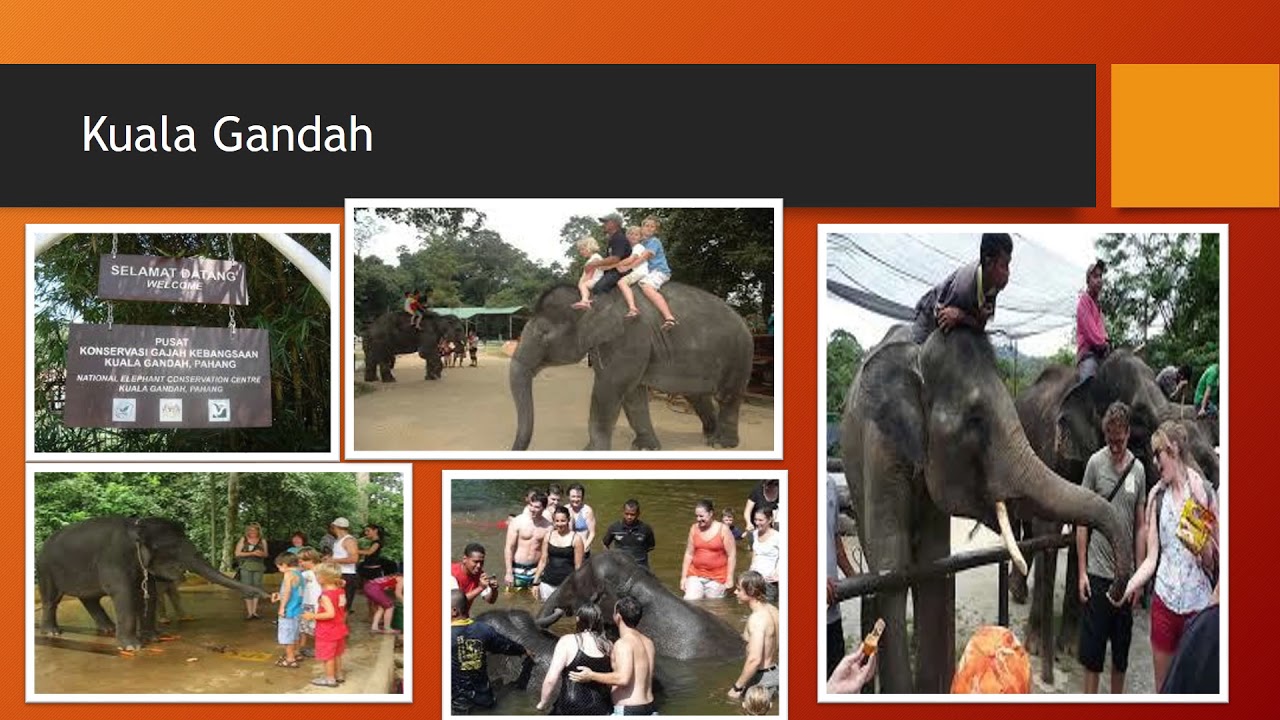 ATTRACTION PLACES IN PAHANG5+5+