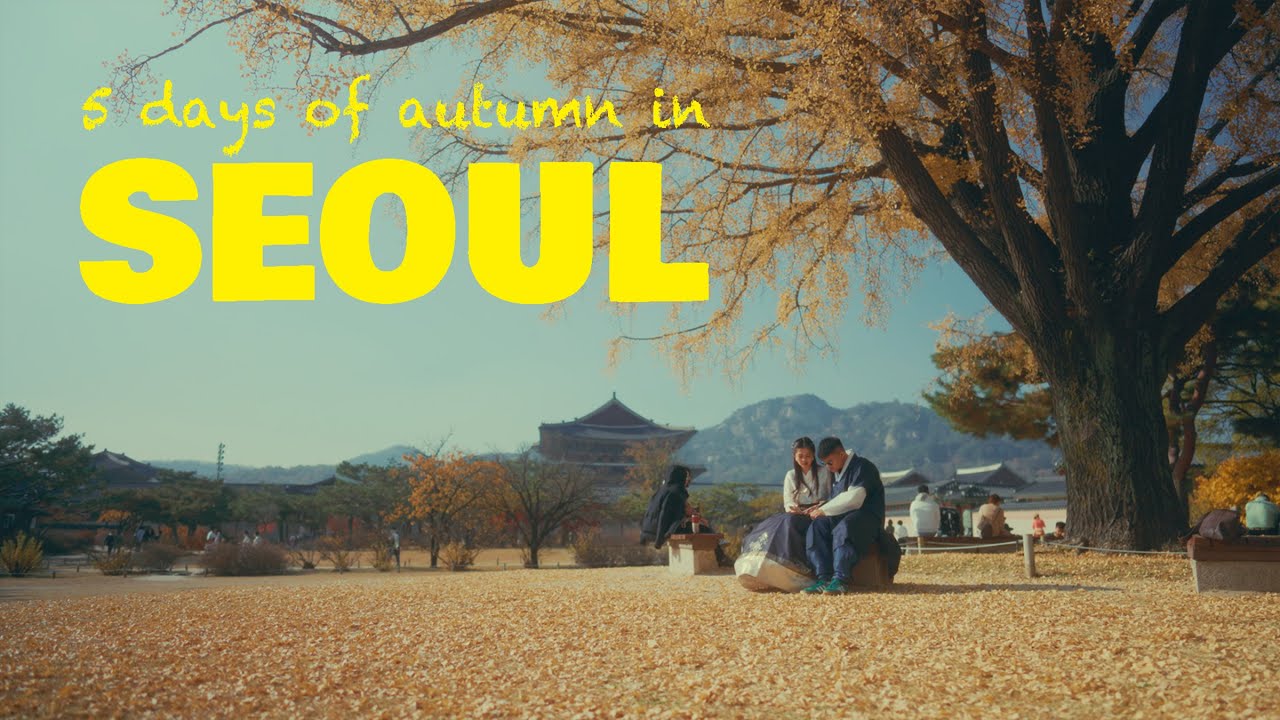 5 Days of Autumn in Seoul 🍁