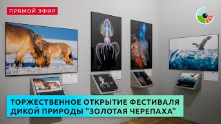 Торжественное открытие Международного фестиваля дикой природы "Золотая черепаха"