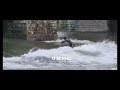 Homem filmado a fazer surf no rio cvado em barcelos