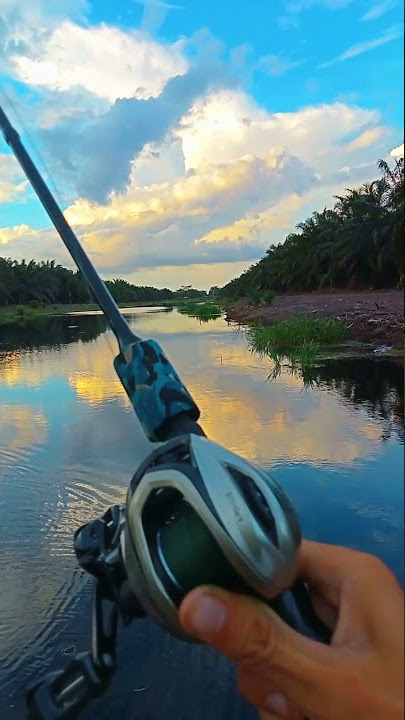 story'wa mancing