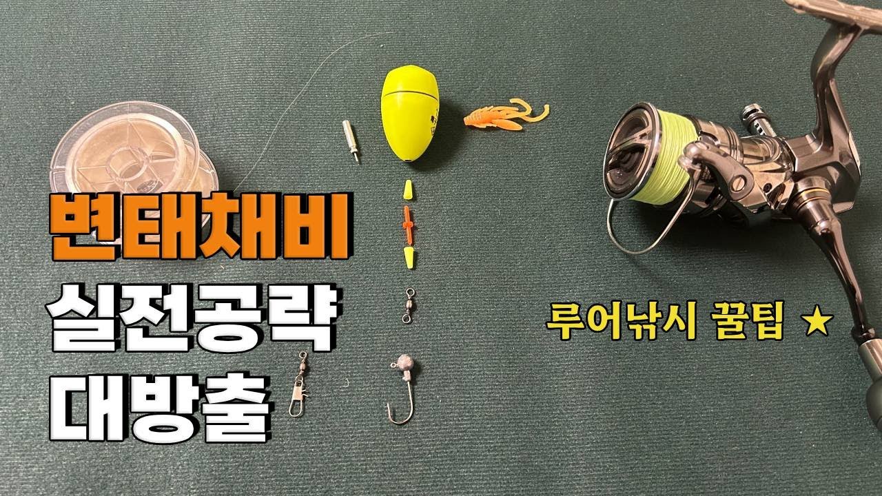 새만금·시화방조제 우럭 변형채비 & 변태채비 루어낚시 꿀팁 대방출 실전공략 