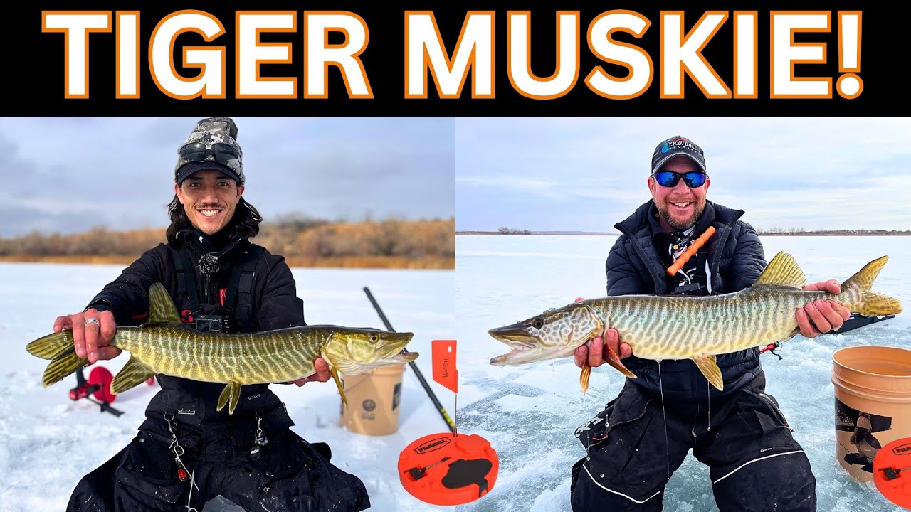 Ice Fishing for MUSKY! Tip-up Fishing for Musky- Utah Ice Fishing