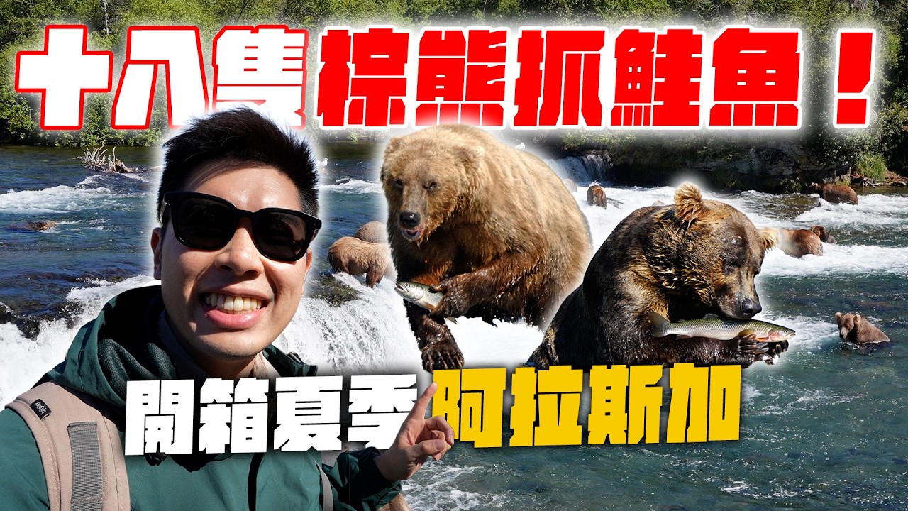 划獨木舟划進超巨大冰川裡！近距離直擊棕熊抓鮭魚！ 縮圖