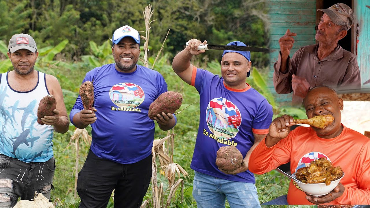 Sacando Batata en el Conuco de Rafael, la Vida del Campo