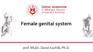 Female genital system 20.3.2023