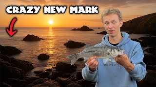 This New Mark Was Insane Uk Lure Fishing The Fal Anglers