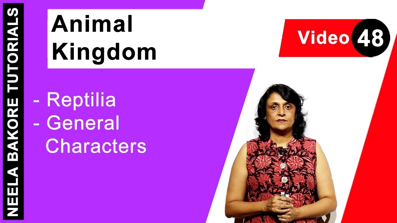 Царство животных | НЕТ | Рептилии - Общие персонажи | Учебники Нилы Бакоре