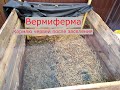 ВермиФерма. Кормим червей после заселения.
