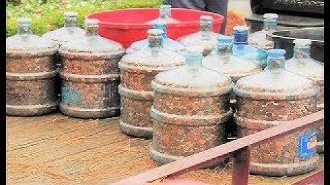 Man Saved Pennies For 45 Years Then He Cashed Them, Their Total Is Astounding