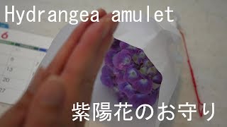 【生け花】紫陽花のお守りの作り方【花のある暮らし】Hydrangea amulet