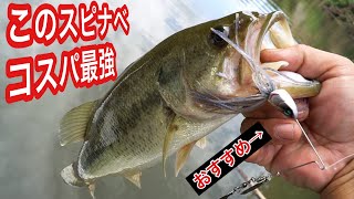 990円で購入ダイワ「スティーズスピナーベイト」のコスパが良過ぎる #バス釣り