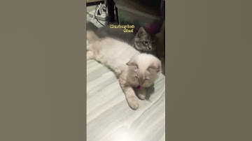 Thumbnail of Mom is my best friend😲#mom#bestfriend#trend