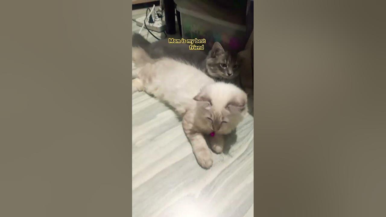 Mom is my best friend😲#mom#bestfriend#trend