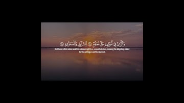 سورة المعارج ( ١٩ ـــ ٢٨ ) #قران_كريم #quran #ياسر_الدوسري #الصلاة