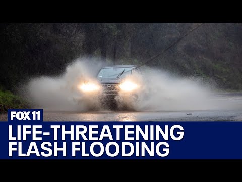 Video: Actions in case of flooding and in the event of a threat of flooding