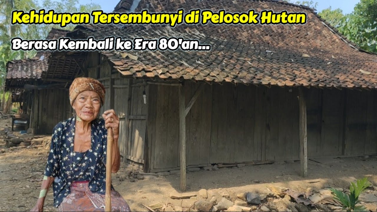 LANGKA ! Potret Kehidupan Desa Terpencil Suku Jawa Asli di Tengah Hutan Jati