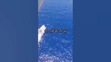 سورة الرحمن