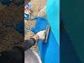 Manual Spreading and Leveling of Blue Rubber Granules for a Clean and Even Surface #shorts