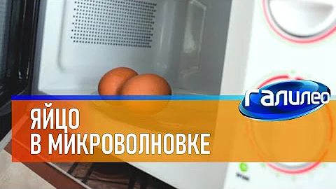 Галилео 🥚 Яйцо в микроволновке