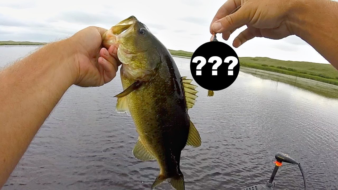 This could be the BEST Grass Fishing lure EVER!! YouTube