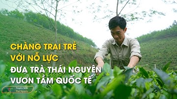 Chàng trai trẻ với nỗ lực đưa trà Thái Nguyên vươn tầm Quốc tế | Thái Nguyên TV