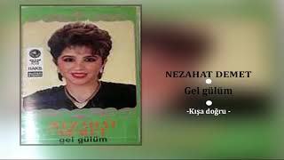 NEZAHAT DEMET / Kışa Doğru Resimi