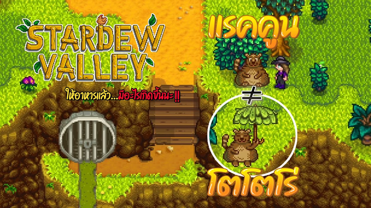 stardew valley วิธีเลี้ยงไก่  2022 Update  Stardew Valley 1.5 ให้อาหารแรคคูนข้างท่อระบายน้ำ แล้วจะได้อะไร?? #EP27