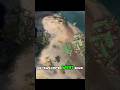 I Was Forced to Play the Map I Hate Most — So I Did This #shorts #ageofempires4 #aoe4 #rts #gaming