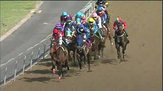 Vidéo de la course PMU PRIX GREYVILLE CONVENTION CENTRE MAIDEN PLATE