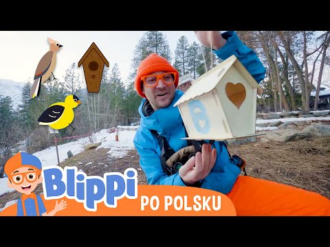 Obserwujemy ptaki | Blippi po polsku | Nauka i zabawa dla dzieci