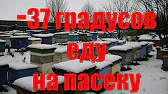 ПАСЕКА ВЛАДИМИРА РЯБУХИНА