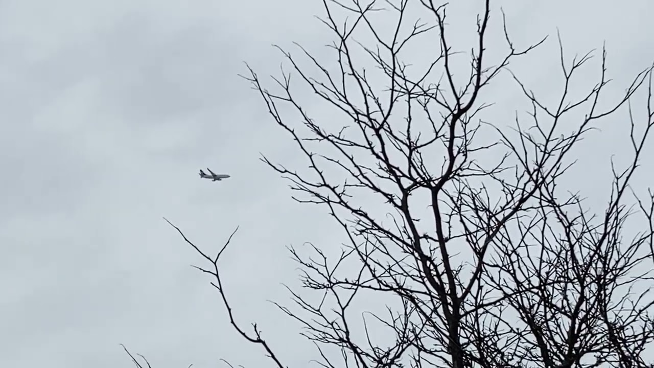 WestJet Boeing 737-7CT (C-GWSO, WS422) landing to YYZ over my house from YHM