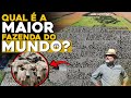 ESSA É A MAIOR FAZENDA DO MUNDO - Milhões de Hectares -TOP 5 Maiores fazendas!